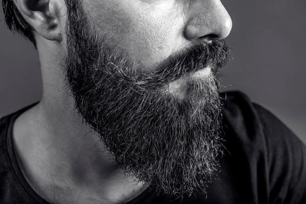 14 Beard Styles for Face Shapes: Which is Right for You?
