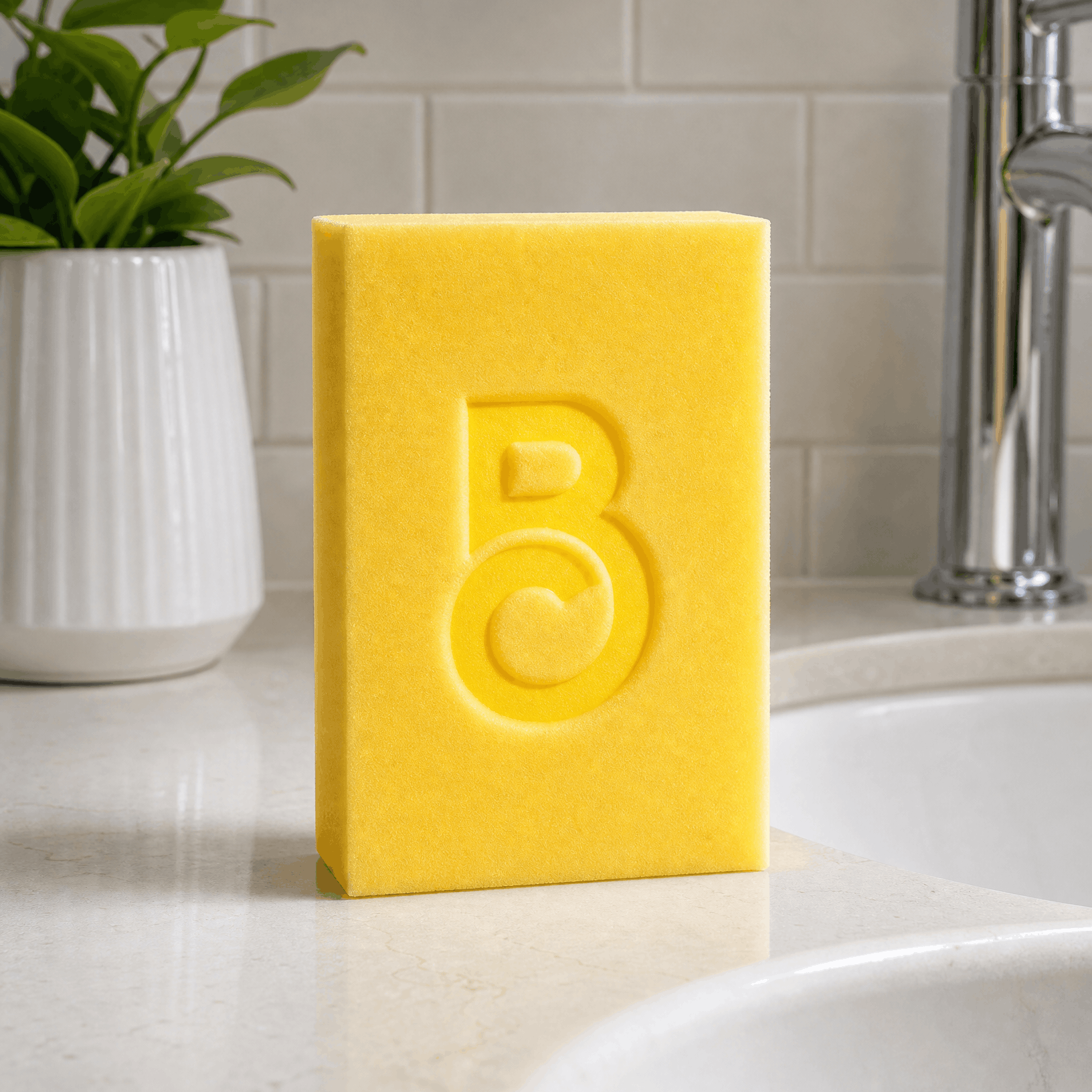 Whisker Cleanup Sponge